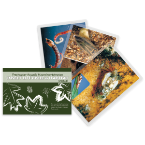 LaMotte 5946 | Tarjetas de Vida y Hábitat de Macroinvertebrados Acuáticos